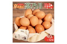 ＜毎月定期便＞京たまご 茶乃月 40個全12回【4057930】