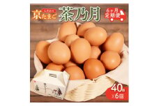＜毎月定期便＞京たまご 茶乃月 40個全6回【4058843】