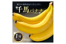 超熟成法仕立て 千馬バナナ 1房 4～5本入り【1567242】