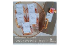 城陽の特産品のイチジクを使用　いちじくパウンドケーキセット【1571498】