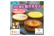 SNS映え彩りタルト 4個入り トルテのさんぽ【1565834】