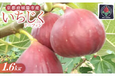 京都府城陽市のいちじく(ドーフィン) 400g×4パック 栄養が豊富な体に嬉しいフルーツ【1635816】