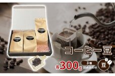 珈琲豆3種各300ｇ詰め合わせ【豆】 [№5223-0155]