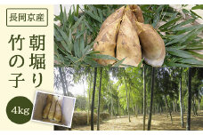 ＜長岡京産＞朝堀り竹の子 4kg ふるさと納税 京都 竹の子 筍 たけのこ タケノコ 朝掘り 春 味覚 京都府 長岡京市 NGAM002