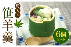 筍入り笹羊羹6個セット ふるさと納税 スイーツ 和菓子羊羹 笹羊羹 ようかん 甘味 あんこ 季節 筍 たけのこ 京都府 長岡京市 NGC001