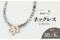 淡水パールのネックレス＊シルバー /  アクセサリー ジュエリー ネックレス パール シルバー 京都府 長岡京市 NGBE009