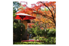 八幡市立松花堂庭園・美術館 ペアチケット 松花堂 観光 体験 チケット 券 庭園 美術館 展示 鑑賞 旅行 トラベル 利用券 松花堂 人気 おすすめ ふるさと納税 京都 八幡 八幡市