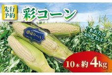 先行受付 【白いとうもろこし】 彩コーン 約4kg 10本 《2026年6月～7月発送》 ホワイトコーン とうもろこし コーン スイートコーン 朝食 昼食 夕食 デザート 甘い 国産 スイーツ おやつ 糖度 野菜 新鮮 産地 直送 人気 おすすめ ふるさと納税 京都 八幡 八幡市 ふるさと農園