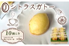 シトラスガトー  10個入り オレンジ レモン ケーキ 柑橘 シロップ リキュール スイーツ お菓子 おやつ デザート 洋菓子 焼き菓子 焼菓子 詰合せ 詰め合わせ ギフト プレゼント 贈り物 贈答 贈り物 お祝い 御歳暮 お歳暮 記念日 人気 おすすめ ふるさと納税 京都 八幡 八幡市 ジョフラン