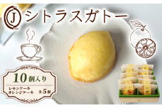 シトラスガトー  10個入り オレンジ レモン ケーキ 柑橘 シロップ リキュール スイーツ お菓子 おやつ デザート 洋菓子 焼き菓子 焼菓子 詰合せ 詰め合わせ ギフト プレゼント 贈り物 贈答 贈り物 お祝い 御歳暮 お歳暮 記念日 人気 おすすめ ふるさと納税 京都 八幡 八幡市 ジョフラン
