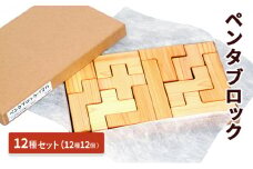 ペンタブロック　12種セット