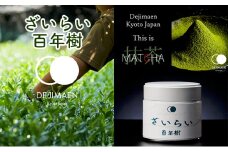 シングルオリジン抹茶「ざいらい百年樹」