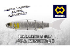 BALAM245 #17 バラム KESHIN化神