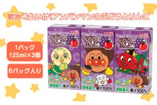 ぶどう果汁とりんご果汁を組み合わせた果実ミックスジュース！
ぶどう果汁とりんご果汁の果実の甘さを子供が飲みやすいように仕上げた果汁100%のミックスジュースなので、親が子供に安心して与えることができる「明治それいけ!アンパンマンのぶどうとりんご」。
地場産品類型



※画像はイメージです。
※賞味期限：製造から180日
