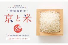 京都府京田辺市産 京と米 ヒノヒカリ 8kg (2kg×4袋) R6年度産 お米 米 こめ コメ 精米 白米 ごはん ご飯 弁当 おにぎり 真空 長期保存 防災 京田辺市 京都府