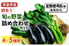【訳あり・定期便】旬の野菜詰め合わせ（全4回 春・夏・秋・冬）