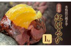 本格派石焼き芋[ 焼き芋 紅はるか サツマイモ さつまいも 耕作期間中 農薬不使用 ]