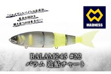 BALAM245 #22 バラム 追鮎チャート〈マドネス、ビックベイト、スイムベイト、ジャイアントベイト、釣り、バス釣り、ルアー、釣り具、スポーツ〉雑貨 日用品