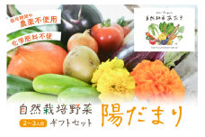 【数量限定】自然栽培野菜セット（陽だまり）　ふるさと納税 野菜 自然栽培 旬野菜 季節 セット 詰め合わせ　AB00006