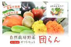 【数量限定】自然栽培野菜セット（団らん）　ふるさと納税 野菜 自然栽培 旬野菜 季節 セット 詰め合わせ　AB00007