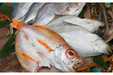 【数量限定30】干し物詰め合わせ　魚介類 魚介 魚 水産加工品 干物 干し物 詰め合わせ 冷凍 ふるさと納税 海鮮 ふるさと納税 干物　YY00004