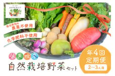 京都・自然耕房あおき【年4回定期便】春夏秋冬自然栽培野菜セット　(年4回)2～3人用　野菜 定期便 自然栽培 オーガニック 季節 定期便 旬野菜　AB00001