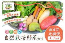 【年4回定期便】春夏秋冬自然栽培野菜セット(年4回)4～5人用　野菜 自然栽培 季節 定期便 旬野菜 自然耕房あおき　AB00002