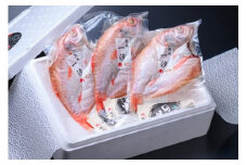【のどぐろ 干物＜熟成＞特大サイズ】【海鮮の匠　魚政】のどぐろ熟成一汐（ノドグロ、のど黒、アカムツ）500g級使用 仕上がり後 370g以上 3尾セット のどぐろ　干物セット　UO01078