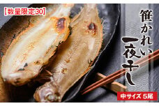 笹かれい一夜干し（ササカレイ、ヤナギムシカレイ）中サイズ 5尾セット　海鮮 魚介 魚介類 カレイ 一夜干し 100g～ 5尾 セット 冷凍 干物 干もの 塩焼き 脂のり 揚げ 簡単調理 笹がれい やなぎかれい 日本海産 かれいの王様 真空パック お取り寄せ 送料無料　UO00064