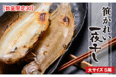 笹かれい一夜干し（ササカレイ、ヤナギムシカレイ）大サイズ 5尾セット　海鮮 魚介 魚介類 カレイ 一夜干し 150g～ 5尾 セット 冷凍　UO00065