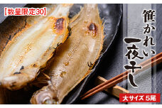 笹かれい一夜干し（ササカレイ、ヤナギムシカレイ）大サイズ 5尾セット　海鮮 魚介 魚介類 カレイ 一夜干し 150g～ 5尾 セット 冷凍　UO00065