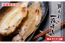 【カレイの王様】笹かれい一夜干し（ササカレイ、ヤナギムシカレイ）特大サイズ 5尾セット＜身は繊細・上質の脂と香りが特徴の笹カレイの一夜干し 干物＞急速冷凍・真空パッケージ　UO00066