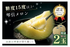 【7/31まで】【リピーター人気】京のブランド産品 京たんごメロン 琴引メロン 2玉（2025年6月下旬～発送）マスクメロン 青肉メロン メロン先行予約 メロン2玉　JK00014
