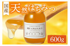 【はちみつ／国産】京都・京丹後産「国産天然はちみつ 600g」 蜂蜜・はちみつ・国産・天然・ハチミツ　AM00561