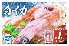 【先行予約】BBQに最適！ 白イカ（ケンサキイカ） 調理済み 正味1kg入り（4～8匹） ※小分け真空包装（2025年5月中旬〜発送）　UO01225