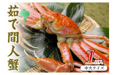 幻の松葉ガニ＜ボイルズワイガニ＞京丹後市産 茹で間人蟹 【厳選】 中大サイズ　taizakani800　カニ かに 蟹 松葉ガニ 間人蟹 茹で間人蟹 天然 1匹 厳選 新鮮 高級 蟹味噌 かにみそ 冬の味覚 冷蔵 間人がに 間人かに たいざがに　SS00110
