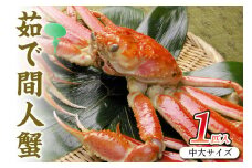 幻の松葉ガニ＜ボイルズワイガニ＞京丹後市産 茹で間人蟹 【厳選】 中大サイズ　taizakani800　カニ かに 蟹 松葉ガニ 間人蟹 茹で間人蟹 天然 1匹 厳選 新鮮 高級 蟹味噌 かにみそ 冬の味覚 冷蔵 間人がに 間人かに たいざがに　SS00110