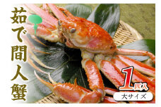 幻の松葉ガニ＜ボイルズワイガニ 姿＞京丹後市産 茹で間人蟹 【厳選】 大サイズ　taizakani900　カニ かに 蟹 松葉ガニ 間人蟹 茹で間人蟹 天然 1匹 厳選 新鮮 高級 蟹味噌 かにみそ 冬の味覚 冷蔵 間人がに 間人かに たいざがに　SS00111