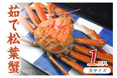 ボイル 松葉ガニ 姿／日本海産／日本海産 ブランド蟹 茹で松葉蟹 【厳選】 大サイズ　matubakani900　茹で松葉ガニ・ボイルズワイガニ・ゆでズワイガニ・タグ付き　SS00095