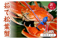 （訳あり）ボイル 松葉ガニ 姿／日本海産／日本海産 ブランド蟹 茹で松葉蟹 【訳あり】中大サイズ　matubakani800　１匹・茹で松葉ガニ・ボイルズワイガニ・ゆでズワイガニ・タグ付き・１杯　SS00080