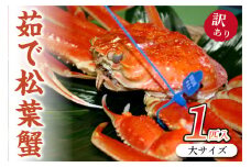 （訳あり）ボイル 松葉ガニ 姿／日本海産／日本海産 ブランド蟹　茹で松葉蟹 【訳あり】大サイズ　matubakani900　ズワイガニ 松葉ガニ 国産 カニ かに 蟹 松葉ガニ 訳あり ボイル 茹で松葉蟹 高級 自宅用 天然 冬の味覚 冷蔵 まるごと 京都 丹後 ズワイガニ姿　SS00081