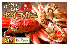 【蟹の匠 魚政】内子外子が美味! 茹でたて セイコガニ（セコ蟹）（香箱ガニ）（こっぺ）特大サイズ 5匹セット　UO01383