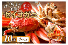 【蟹の匠 魚政】内子外子が美味! 茹でたて セイコガニ（セコ蟹）（香箱ガニ）（こっぺ）小サイズ 10匹セット　UO01384