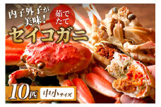 【蟹の匠 魚政】内子外子が美味! 茹でたて セイコガニ（セコ蟹）（香箱ガニ）（こっぺ）中小サイズ 10匹セット　UO01385