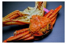【蟹の匠 魚政】ボイル済み 急速冷凍 茹でズワイガニ 900g級 （茹で上げ後800g） 1匹　UO00807