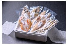 のどくろ、笹カレイ入り　一夜干し詰め合わせ　ゴールド　魚 さかな 魚詰合せ 魚セット 高級魚 のどぐろ カレイ 白身魚 つまみ おつまみ 敬老の日 父の日 プレゼント 干物 干もの 乾物 一夜干し 上質 脂 希少 旬 日本海 真空 おまかせ 詰め合わせ 人気　UO00149