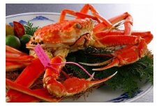 【北畿水産 特選】タグ付きブランド ゆで松葉がに小サイズ２匹　カニ ポーション ボイル 蟹 国産　HK00099