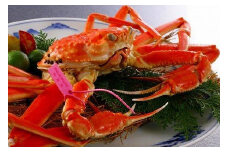 【北畿水産 特選】タグ付きブランド ゆで松葉がに大サイズ２匹　カニ ポーション ボイル 蟹 国産　HK00101