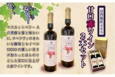 【天橋立ワイン】日本ワインコンクール受賞のワイナリーからお届け／京丹後産ぶどうを醸造した甘口の赤ワイン 720ml×2本セット　天橋立ワイナリー 飲料 アルコール ワイン 赤ワイン 葡萄 ぶどう ブドウ セット 贈り物 贈答 贈答用 ドイツ式 イタリアン　AW00010