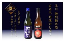 丹後の地酒　丹後味わい飲み比べセット「玉川　特別純米酒」「純米吟醸　丹後のヒカリ」　酒 地酒 米酒 純米酒 純米吟醸 セット　SK00108